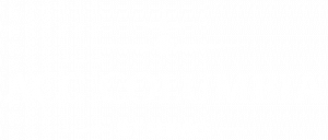 ACC Jet Logo
