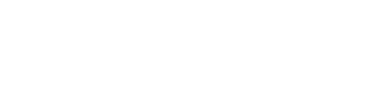 Avion Express