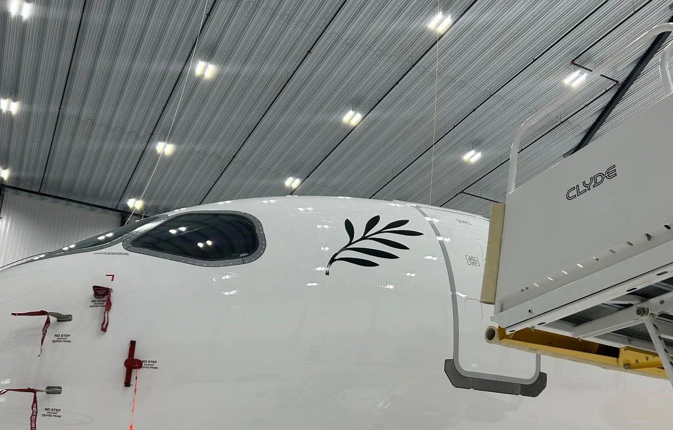 Olive branch motif on the nose of the A220-300
